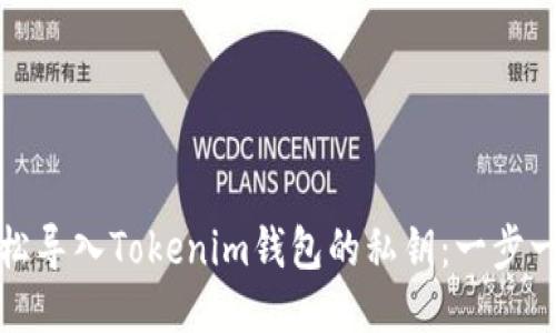 如何轻松导入Tokenim钱包的私钥：一步一步教你