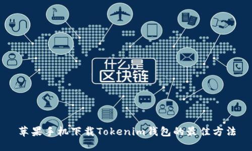 苹果手机下载Tokenim钱包的最佳方法