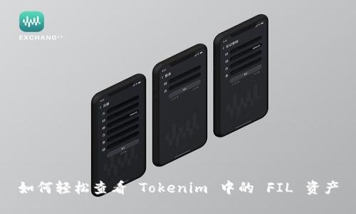 如何轻松查看 Tokenim 中的 FIL 资产