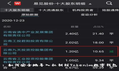 : 如何安全地导入私钥到Tokenim数字钱包