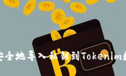 : 如何安全地导入私钥到Tokenim数字钱包