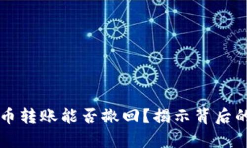 虚拟币转账能否撤回？揭示背后的真相