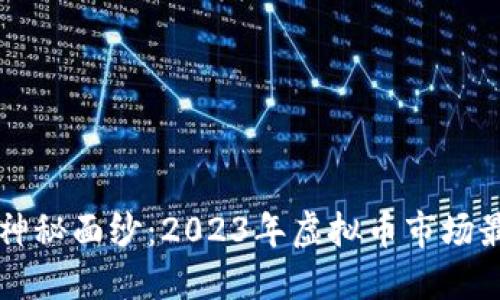 揭开瑞币的神秘面纱:2023年虚拟币市场最闪耀的明星