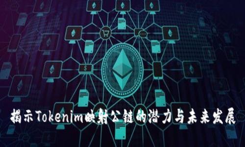 揭示Tokenim映射公链的潜力与未来发展