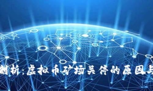 深度剖析：虚拟币矿场关停的原因与影响