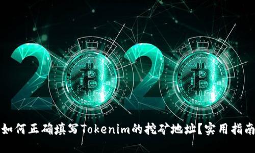 如何正确填写Tokenim的挖矿地址？实用指南