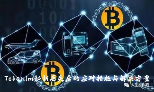 Tokenim秘钥丢失后的应对措施与解决方案