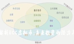 深度解析RCC虚拟币：未来投资的潜力与风险