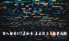 深入解析BTT虚拟币：未来潜力与投资风险