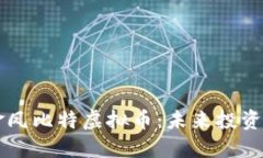 深入了解金凤比特虚拟币：未来投资的闪耀之星