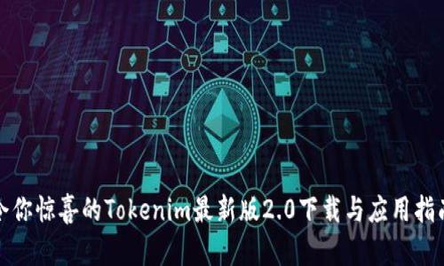 令你惊喜的Tokenim最新版2.0下载与应用指南