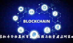 虚拟币价格暴跌背后的原因与投资者应对策略