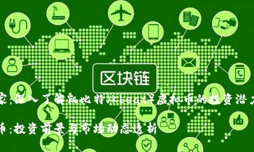 虚拟货币专家：深入了解凯比特（Kbeat）虚拟币的投资潜力与市场动态

凯比特虚拟币：投资前景与市场动态透析