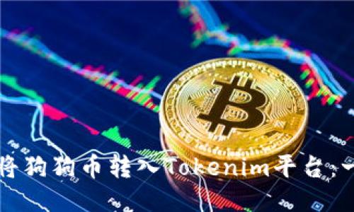 如何轻松将狗狗币转入Tokenim平台：一步步指南