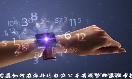 
程序员如何在海外远程办公并有效管理虚拟币投资