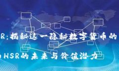 虚拟币 HSR：揭秘这一隐秘数字货币的未来与潜力