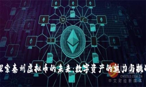 探索泰州虚拟币的未来：数字资产的魅力与挑战