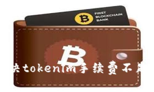 如何解决tokenim手续费不足的问题