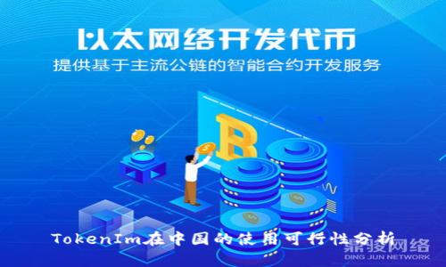 TokenIm在中国的使用可行性分析
