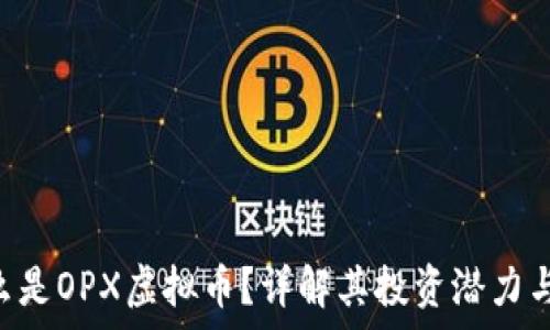   
baioti什么是OPX虚拟币？详解其投资潜力与市场前景