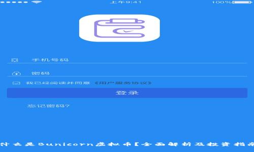 什么是Bunicorn虚拟币？全面解析及投资指南