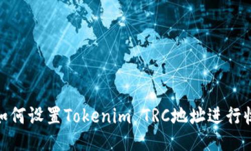 : 如何设置Tokenim TRC地址进行收款