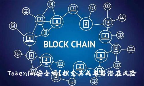 Tokenim安全吗？探索其成本与潜在风险