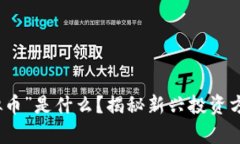 “租房挖虚拟币”是什么？揭秘新兴投资方式及