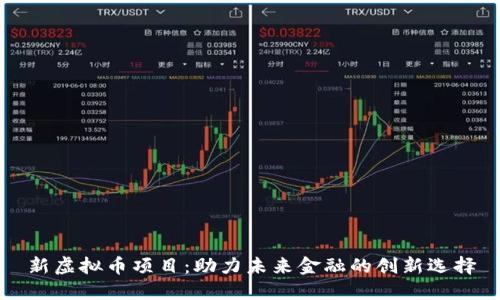 新虚拟币项目：助力未来金融的创新选择