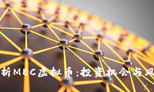 全面解析MEC虚拟币：投资机会与风险评估