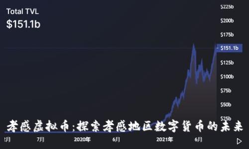孝感虚拟币：探索孝感地区数字货币的未来