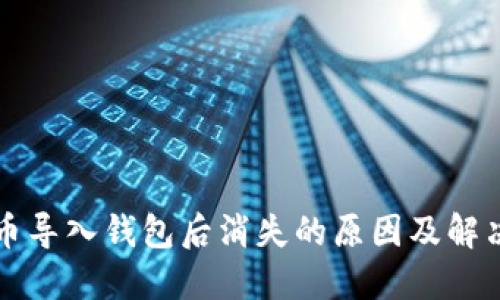 虚拟币导入钱包后消失的原因及解决方案