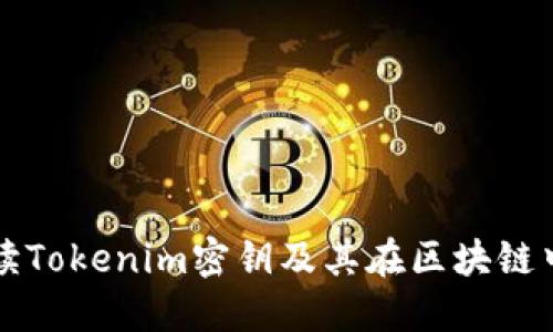 全面解读Tokenim密钥及其在区块链中的应用