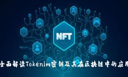 全面解读Tokenim密钥及其在区块链中的应用