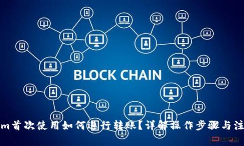 Tokenim首次使用如何进行转账？详解操作步骤与注意事项