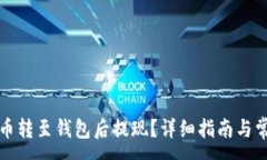 :如何将虚拟币转至钱包后提现？详细指南与常见