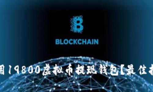如何选择和使用19800虚拟币提现钱包？最佳指南与实用技巧