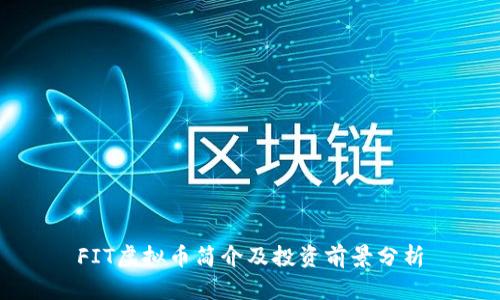FIT虚拟币简介及投资前景分析
