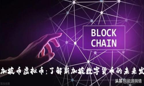 新加坡币虚拟币：了解新加坡数字货币的未来发展