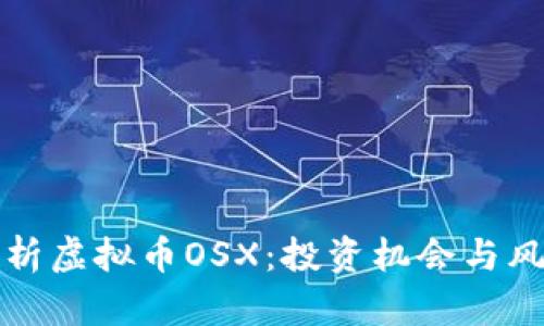 全面解析虚拟币OSX：投资机会与风险分析