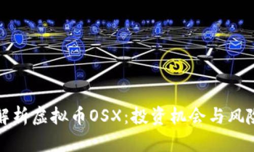 全面解析虚拟币OSX：投资机会与风险分析