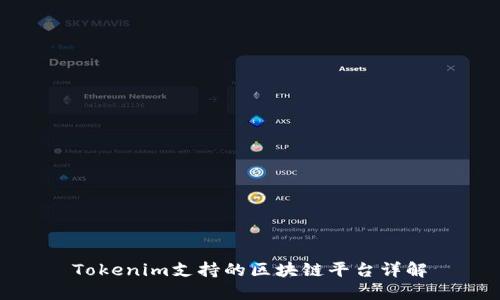 Tokenim支持的区块链平台详解