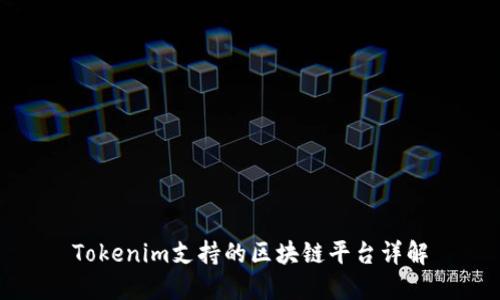 Tokenim支持的区块链平台详解