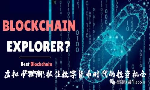虚拟币狂潮：抓住数字货币时代的投资机会