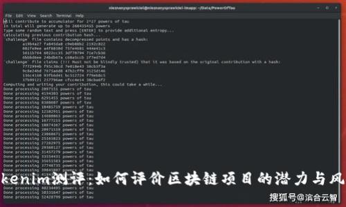 Tokenim测评：如何评价区块链项目的潜力与风险