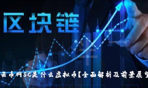 云币网SC是什么虚拟币？全面解析及前景展望