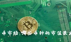 2023年虚拟货币市场：哪些币种的市值最大及其影