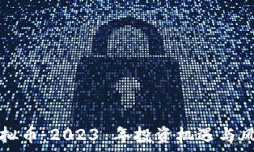   
节点虚拟币：2023 年投资机遇与风险分析