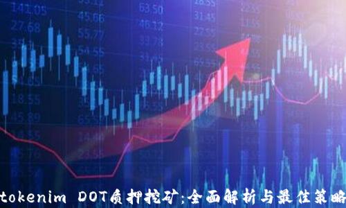 
tokenim DOT质押挖矿：全面解析与最佳策略