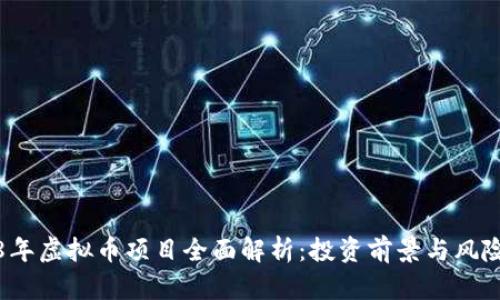 2018年虚拟币项目全面解析：投资前景与风险评估
